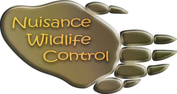 Home - Nuisance Wildlife Control and Removal - Licensed IL Professional Animal  Removal Service